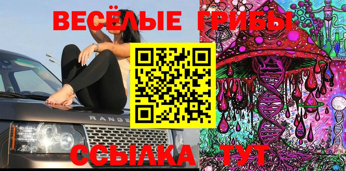 Галлюциногенные грибы ЛСД  где купить наркоту  Реж  Галлюциногенные грибы мухоморы  Вход с VPN 