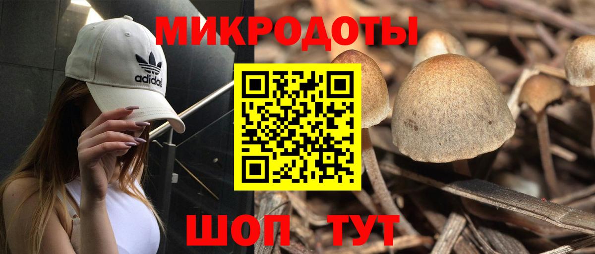 Псилоцибиновые грибы Psilocybine cubensis Реж